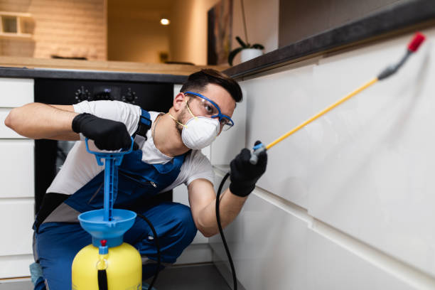 Best Pest Inspection Near Me  in Napa, CA