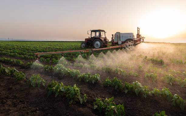 Best Pest Control for Homes  in Napa, CA