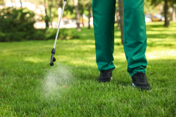 Best Termite Control Services  in Napa, CA
