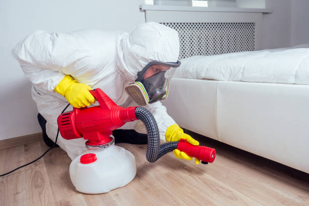 Best Cockroach Control Services  in Napa, CA