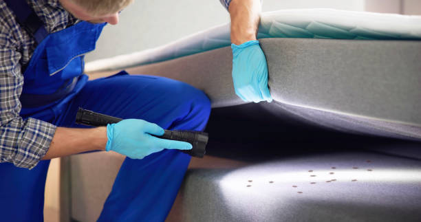 Best Pest Control Treatment  in Napa, CA