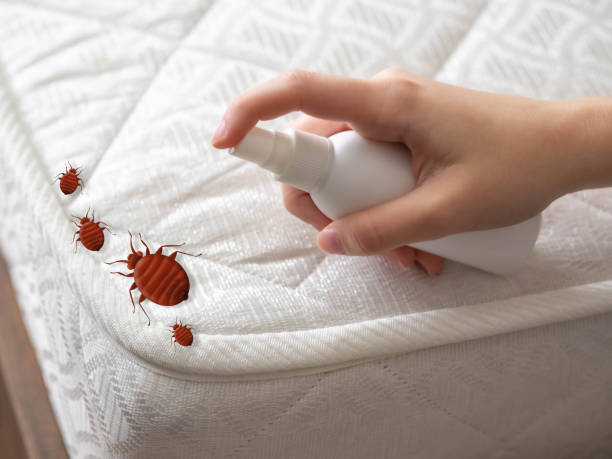 Best Pest Control Near Me  in Napa, CA