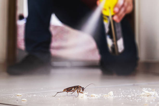 Best Affordable Exterminators  in Napa, CA