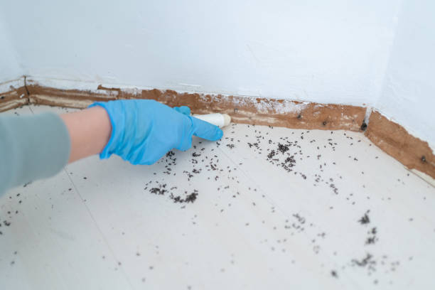 Best Best Pest Control Near Me  in Napa, CA
