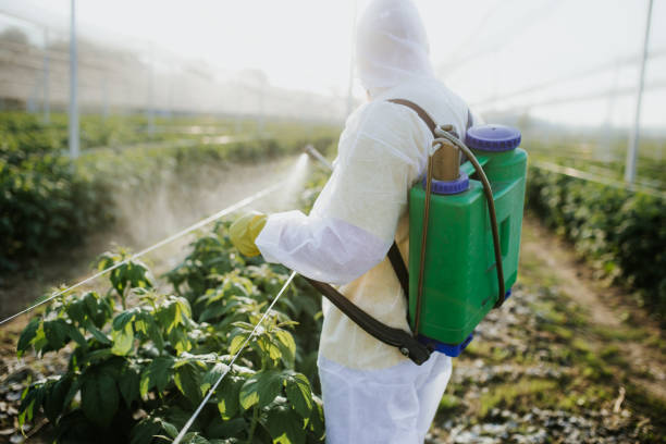 Napa, CA Pest Control Company